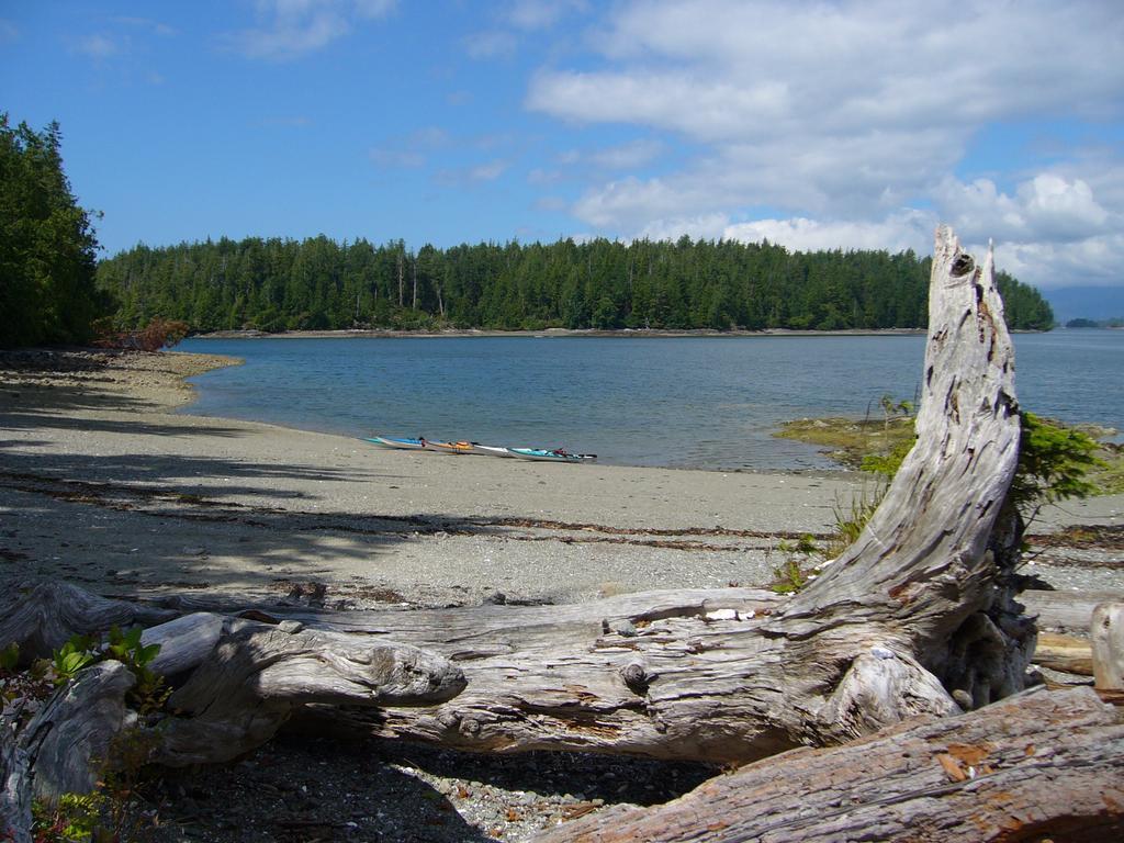 203 At Water'S Edge Leilighet Ucluelet Rom bilde