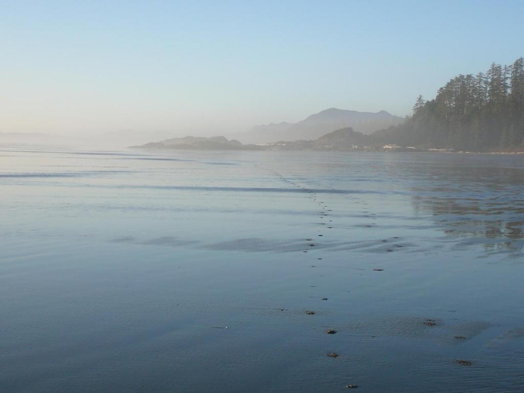 203 At Water'S Edge Leilighet Ucluelet Eksteriør bilde